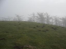 Sepultura de la edad del hierro - Cromlech/Navarra/Umgebung