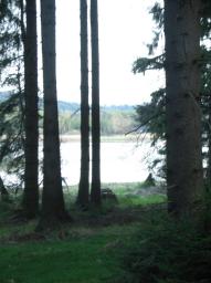 Seyfrieds Winkelauerteich vom Wald