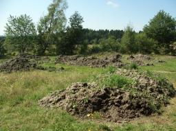 'Riesenmaulwurfshuegel' in Seyfrieds (giant molehills made of lake ground)/(Lettn == Teichaushub)