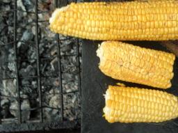 Maiskolben (Corn on the Cob) 2