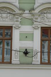 Serie Oberleitungsabspannungen Wien 18, Waehringerstrasse Serie Oberleitungsabspannungen Wien 18, Waehringerstrasse