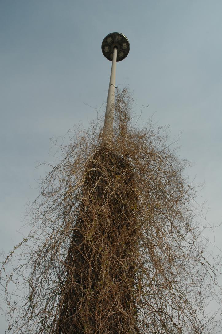 lantern/Praterstern/Wien Nord, 1020 Leopoldstadt