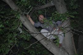 Franz/beim Lampenbefestigen am Baum