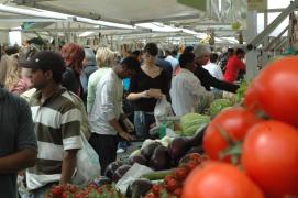 Padova/Mercato in Piazza della Frutta