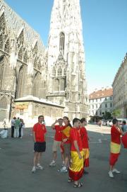 Stephansdom mit Fans