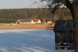 Blick ueber den WInkelauerteich mit Zapfen