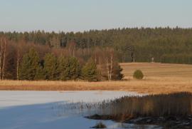 Winkelauerteich im Schnee 2