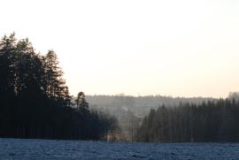 Blick nach Seyfrieds vom ehemaligen Hof