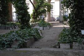 old jewisch cemetary in a yard of the synagogue