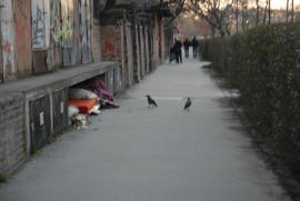 not a good picture, but we'll probably always remember the homeless living near the hostel not a good picture, but we'll probably always remember the homeless living near the hostel