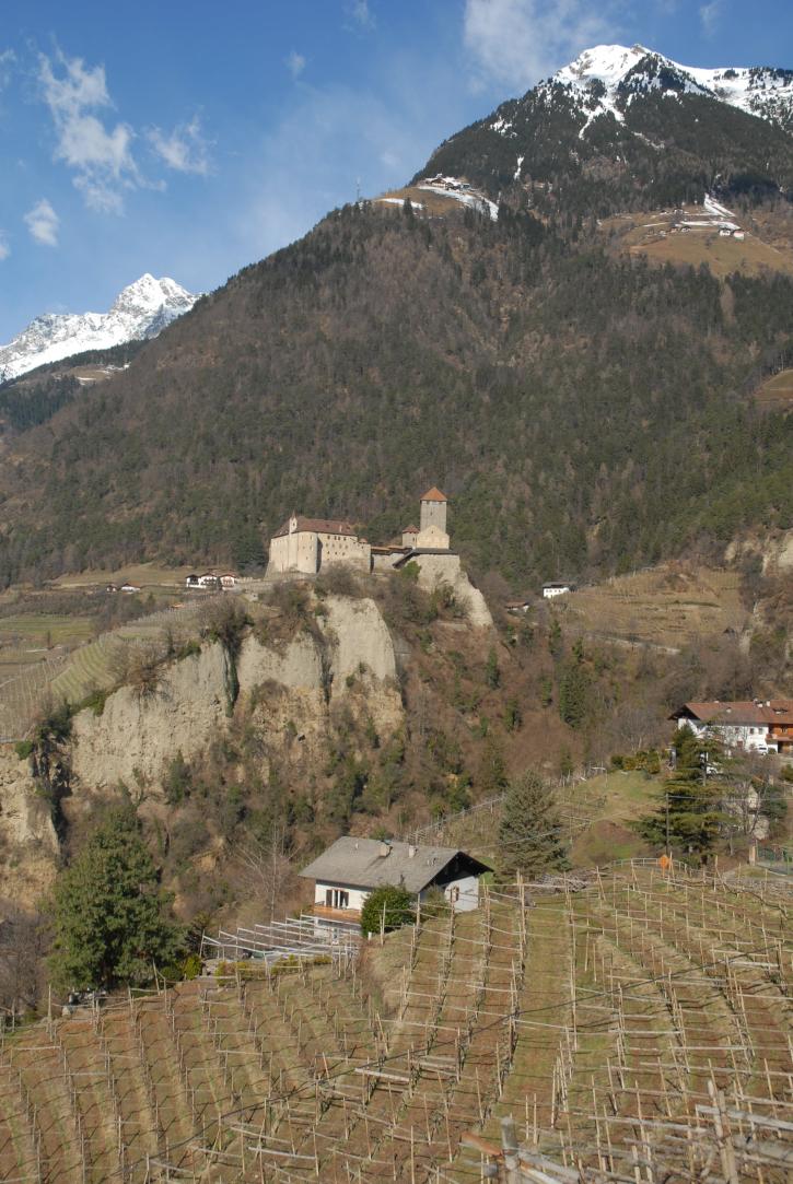 Schloss Tirol mit Weinhuegeln
