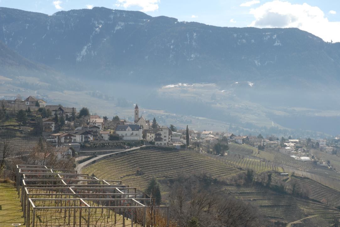 Blick auf Dorf Tirol