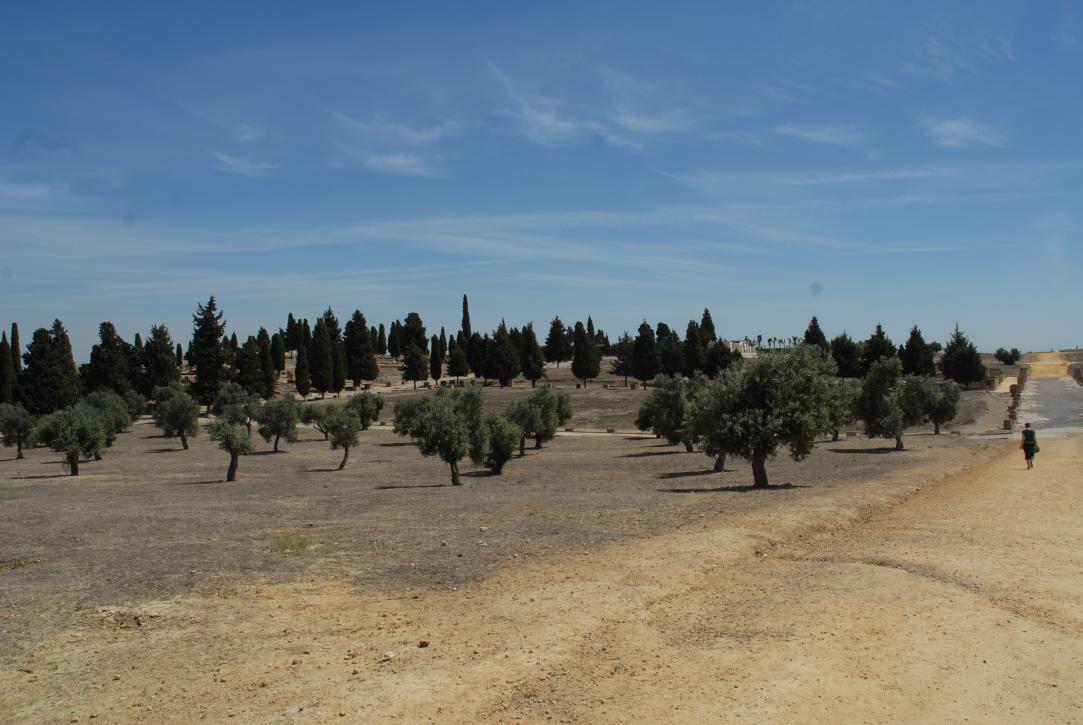 vista de Italica desde el camino veniendo del teatro/Geohack: 