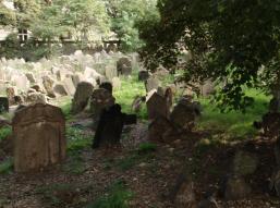 Prague 2013/Old Jewish Cemetary 2