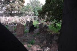 Prague 2013/Old Jewish Cemetary 3