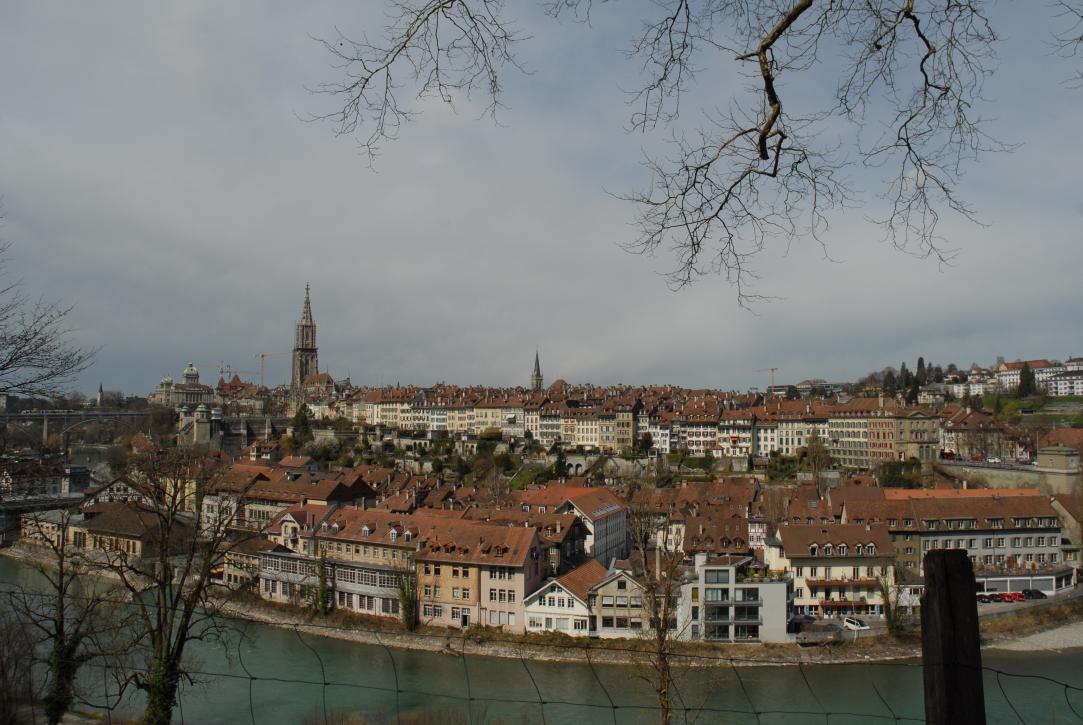 Altstadt mit Münster vom Grossen Muristalden/Geohack: /Bern/Berne Schweiz/Switzerland)