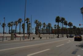 Barceloneta: Passeig de Joan de Borbó