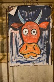 Pino Volpino-Kuh am Straßenrand gefunden