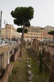 Largo di Torre argentina/Campus Martius/remains of four roman temples and pompei theater/