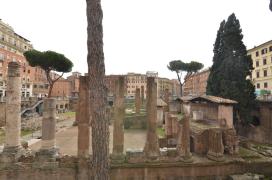 Largo di Torre argentina/Campus Martius/remains of four roman temples and pompei theater/