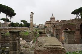 View over the forum