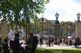 Hyde Park (pseudo) fence near Buckingham Palace