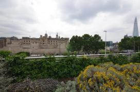 The (white?) Tower of London/from Tower Hill Underground station