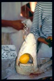 Frankreich/France 1994/requin mort 'Peau Bleue' 68 F le kg/public Frankreich/France 1994/requin mort 'Peau Bleue' 68 F le kg/public
