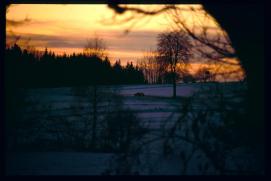 Seyfriedser Berg in der Abenddaemmerung/(Abfahrt)