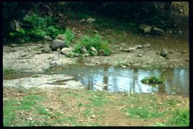 Nicaragua 1992/furt/ford