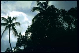 Nicaragua 1992