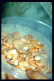 USA Weihnachten 1993/1994/New Year's Eve 1994/more prawns