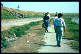 Frankreich/France 1994/mont st michel/chemin