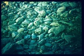 Frankreich/France 1994/chemin de pieds