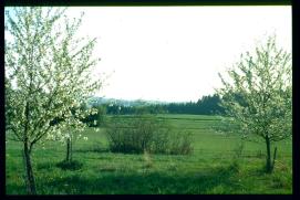 seyfrieds 1994/blick nach sueden