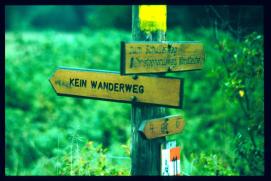 seyfrieds fruehjahr/sommer 1995/kein wanderweg