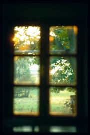 seyfrieds fruehjahr/sommer 1995/fenster mit nussbaum