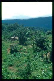 Guatemala 1996/San Juan Ixcán