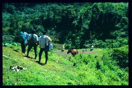 Guatemala 1996/San Juan Ixcán